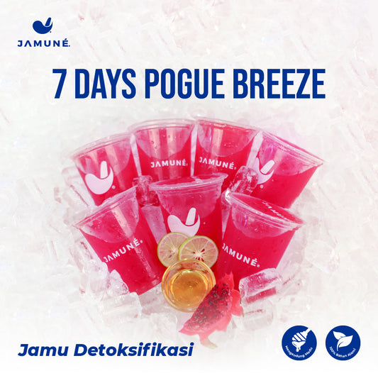 Pogue Breeze | 16oz | 7 Cups